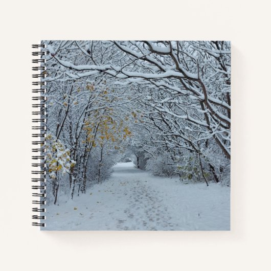 L'hiver au Canada Carnet (Devant)