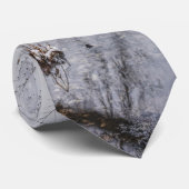 L'Hiver Au Cravate Du Barrage Finley (Roulé)