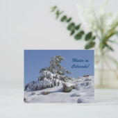 L'hiver dans le Colorado Carte postale (Debout devant)
