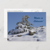 L'hiver dans le Colorado Carte postale (Devant / Derrière)