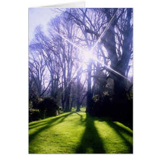 L'hiver dans les jardins Fitzroy