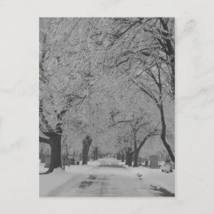 L'Hiver En Nebraska Carte Postale