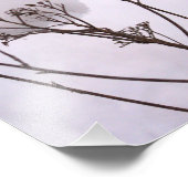 L'hiver, Plantes dans la neige Photo professionnel (Coin)