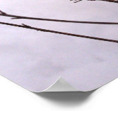 L'hiver, Plantes dans la neige Poster de la valeur (Coin)