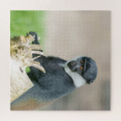 L'Hoest's Monkey op een houten baars Legpuzzel (Horizontaal)