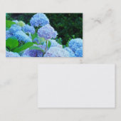 L'hortensia bleu de cartes de visite fleurit (Devant / Derrière)