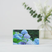 L'hortensia bleu de cartes de visite fleurit (Debout devant)