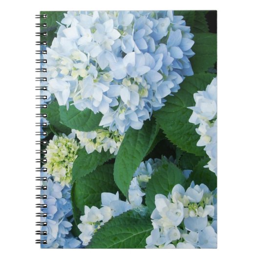 L'hortensia fleurit le carnet (Devant)