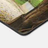 Li Garden Series: Waiting in Stillness  (Coin)