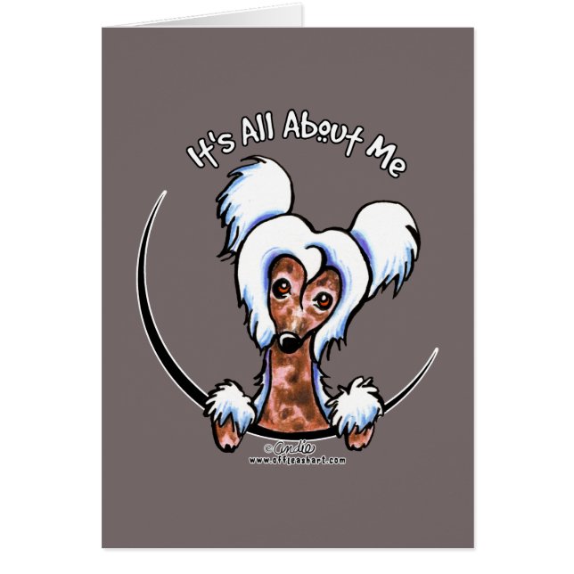 L'IAAM chinois (Devant)