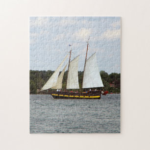 Liana's Ransom-puzzel Legpuzzel