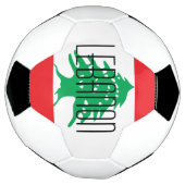 liban (Tourné)
