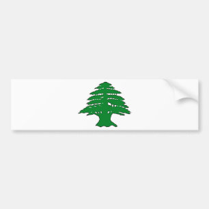 Libanese cedar bumpersticker