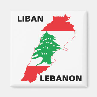 Libanese vlag magneet