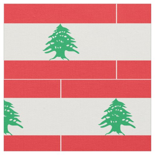 Libanese vlag stof (Close Up)