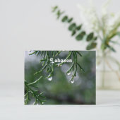 Libanon Briefkaart (Staand voorkant)