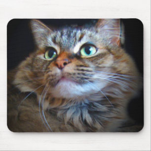 libby cat mousepad muismat