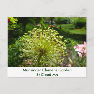 Libel bij Tuin Munsinger Briefkaart
