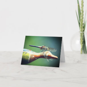 Libel Co-piloot Natuurfotografie Notitiekaartje