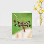 Libel die op de kaart van de grasnota rusten (Gele Bloem)