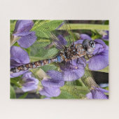 Libel met blauwe ogen op bloem legpuzzel (Horizontaal)