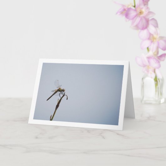 Libel met wandelstok kaart (Orchidee)