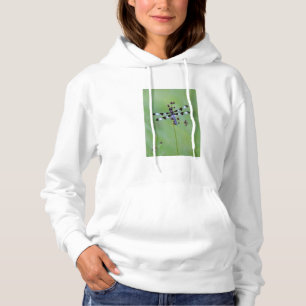Libel op gras, Canada Hoodie