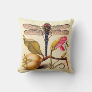 Libelle Botanische Natuur Natuurleven Hoefnagel Ku Kussen