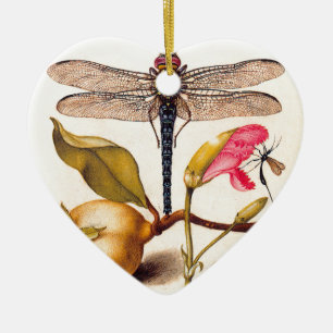 Libelle Botanische Natuur Natuurlijke Historie Hoe Keramisch Ornament
