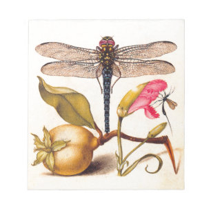 Libelle Botanische Natuur Natuurlijke Historie Hoe Notitieblok