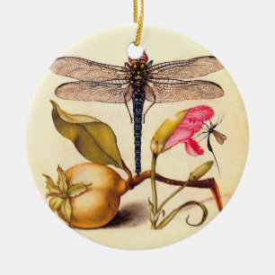 Libelle Botanische Natuur Natuurlijke Hoefnagel Ku Keramisch Ornament