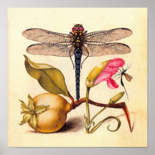 Libelle Botanische Natuur Wilde Dieren Poster