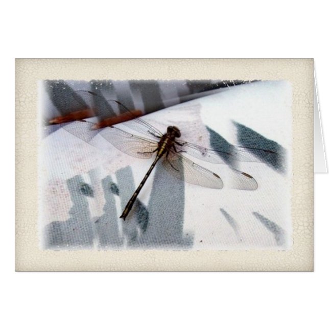 Libelle Dimensionale Fotografie Kunst (Voorkant Horizontaal)