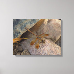 Libelle Foto op Canvas Print met Spanraam
