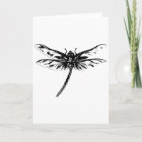 Libelle Insect Motief Kleurrijke Vleugels Insecten