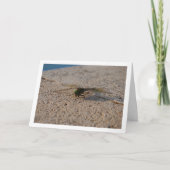 Libelle Portret Kaart (Voorkant)