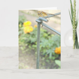 "Libelle Tuin" Vrolijk Kerst Kaart #3