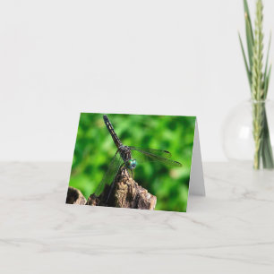 Libelle van dichtbij Natuurfotografie Notitiekaartje