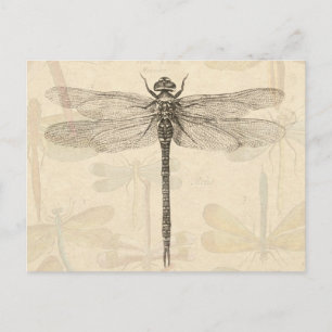 Libelle Vintage Antiek Klassieke Natuur Briefkaart