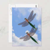 Libellen Blue Sky Clouds Natuur Briefkaart (Voorkant / Achterkant)