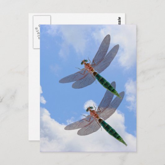 Libellen Blue Sky Clouds Natuur Briefkaart (Voorkant / Achterkant)