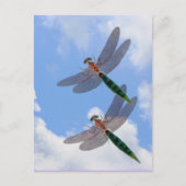 Libellen Blue Sky Clouds Natuur Briefkaart (Voorkant)