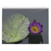libellen en libellen kalender (Hoes)