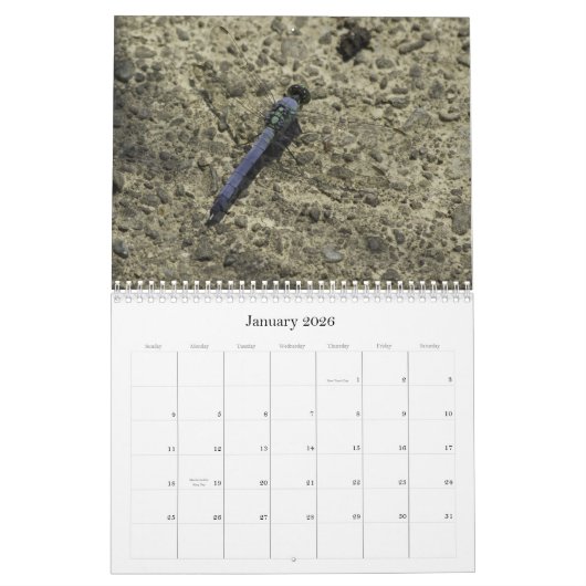 libellen en libellen kalender (Jan 2026)