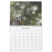 libellen en libellen kalender (Mar 2026)