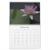 libellen en libellen kalender (Feb 2026)