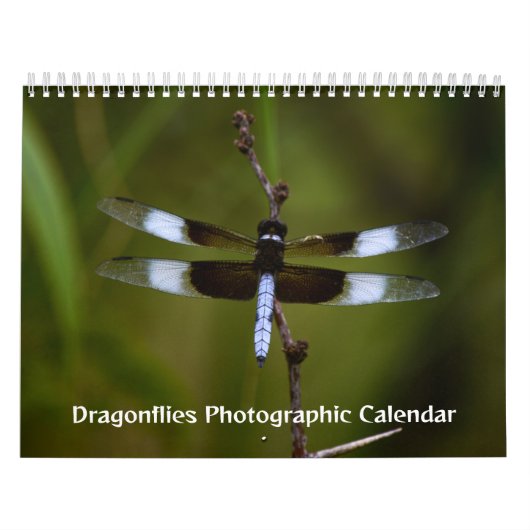 Libellen fotografische kalender (Hoes)