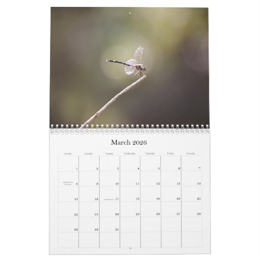 Libellen fotografische kalender (Mar 2026)