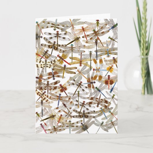 Libellen Galore! Wenskaart Kaart (Voorkant)