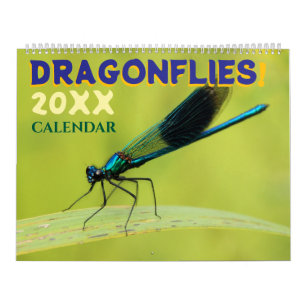 Libellen in de natuur muurkalender Cute Kalender